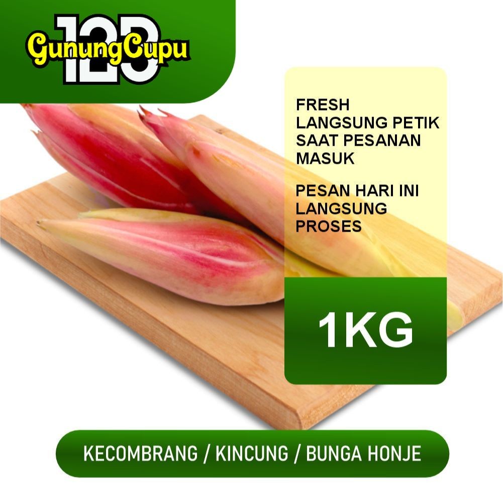 

Bunga Kecombrang Segar 1 kg - Bunga Honje - Rombeh - Kincung Fresh