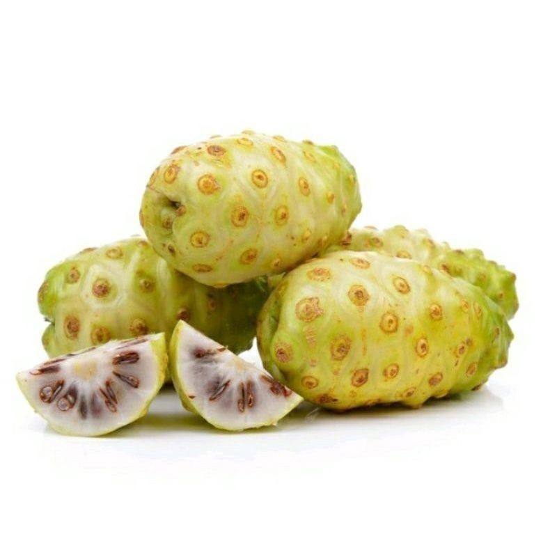 

HalimunHerbal BUAH MENGKUDU SEGAR / CANGKUDU SEGAR 500 Gram
