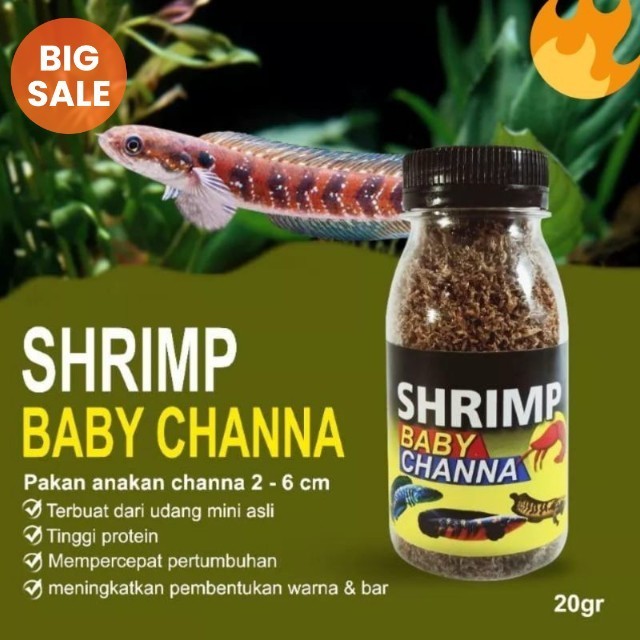 Udang kering pakan burayak chana / baby shrimp / udang kering / pakan chana / pakan burayak / pakan 