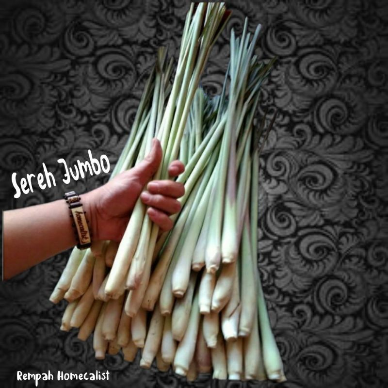

Sereh Segar 1kg Serai Jumbo