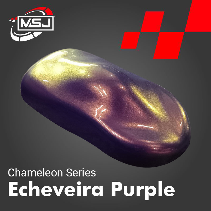 Cat Mobil/Motor Echeveira Purple | Cat Bunglon  | MSJ