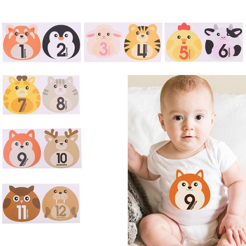 

Baby Photography Props Photo Stickers Newborn Infant Monthly Milestone Sticker