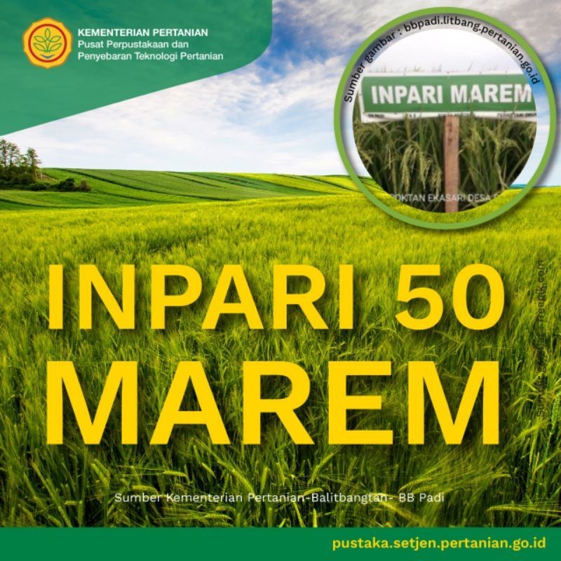 Benih padi unggul inpari 50 marem bersertifikat label ungu kemasan 5kg