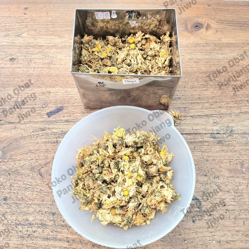 

BUNGA CHRYSANTHEMUM / JU HUA / CIHUA / KRISAN - Teh Panas Dalam