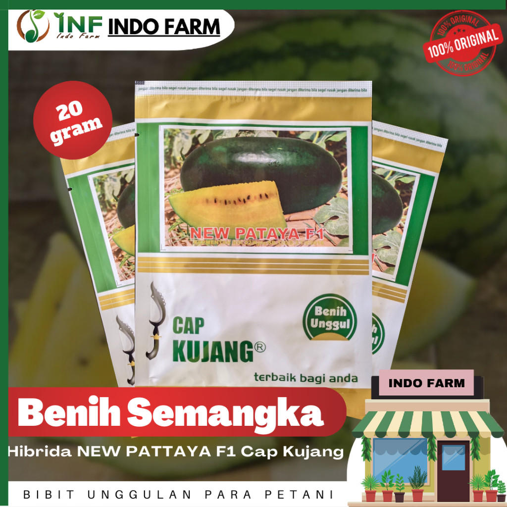 Benih Semangka Inul Kuning Hibrida NEW PATAYA F1 Cap Kujang 20 Gram - INF INDO FARM