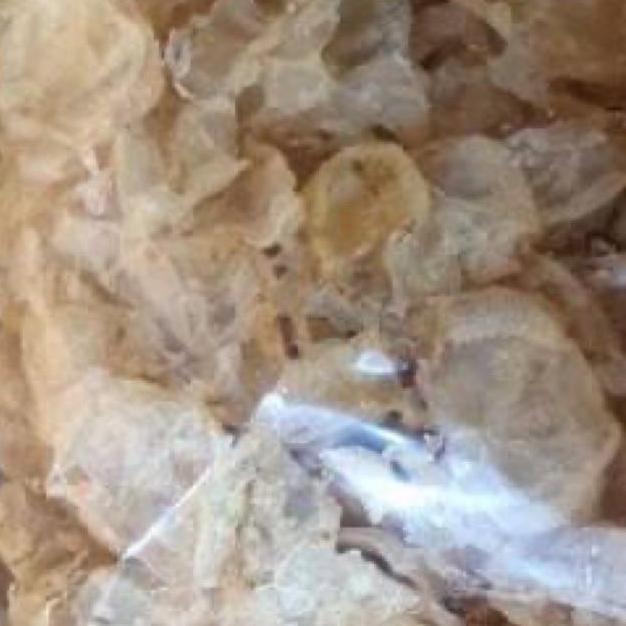 

Hu pio / Perut Ikan / Hi Pio 500 gram - 250gram