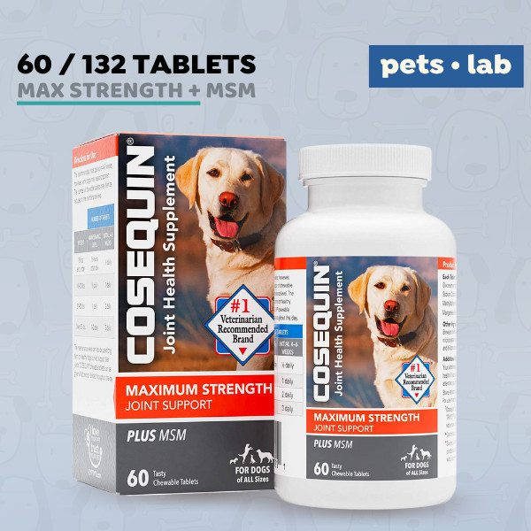 Cosequin Cosequin Max Strength Joint Health DS + MSM Dog Anjing Sendi