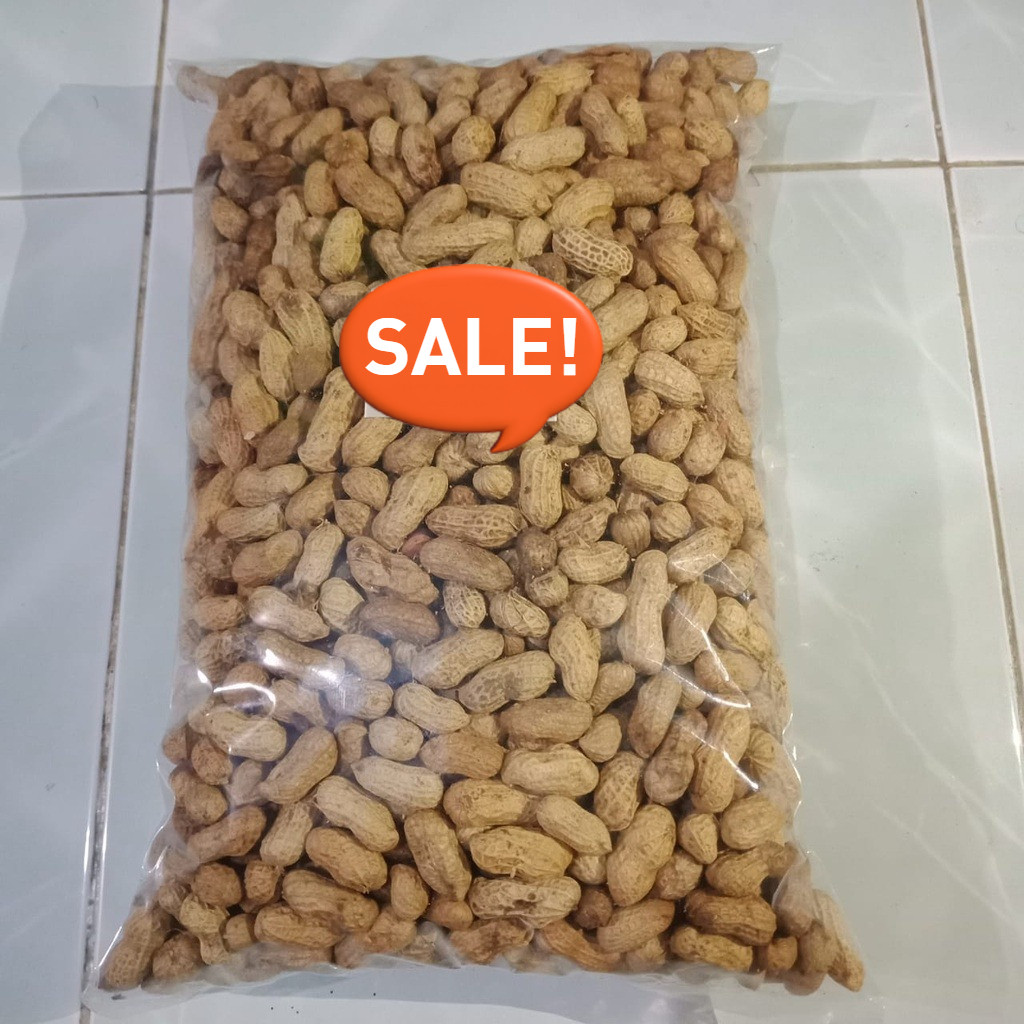 

Kacang Kulit Oven Sangrai 1 KG Kiloan Rasa Original Gurih Renyah