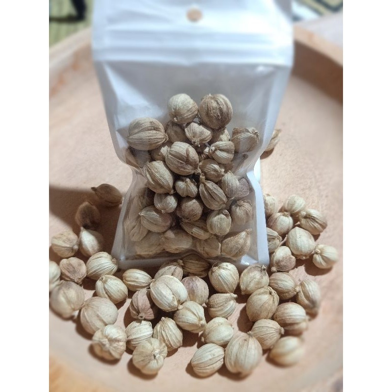 

Kapulaga Kering 100gram Rempah JSR Empon-Empon Bumbu Tradisional Bumbu Pawon