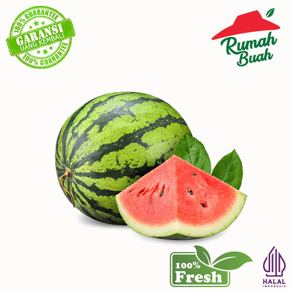 

Buah Semangka Merah Segar Banyak Air Manis BEST SELLER