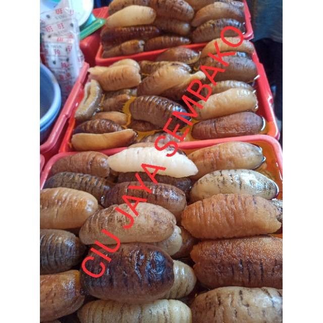 

TERIPANG / HAISOM / TERIPANG BELITUNG / HAISOM BELITUNG / HOISYEM