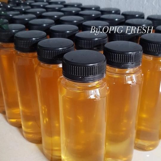 

opig minyak babi asli paket 8 botol 250ml Masakan Oil