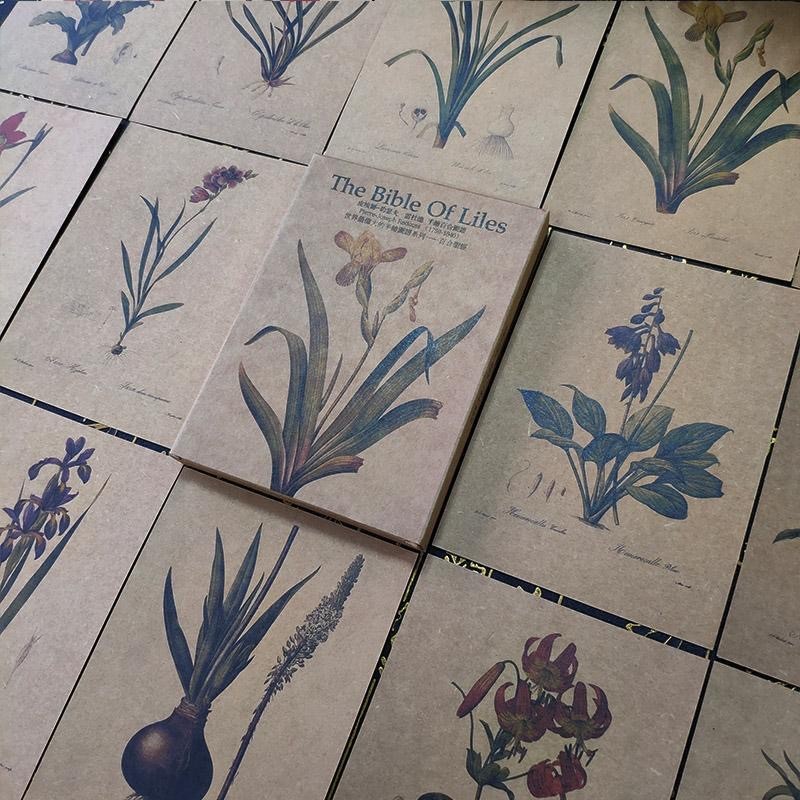 

25 Sheets/Set Hand-painted Lily Series Kraft Paper Postcard Art illustration Greeting Wish Cards Christmas And New Year Gifts