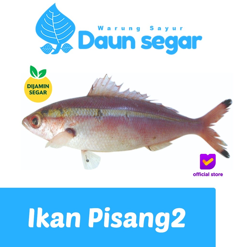 

Ikan Pisang Pisang Segar Fresh 500gr isi 4-6 ekor