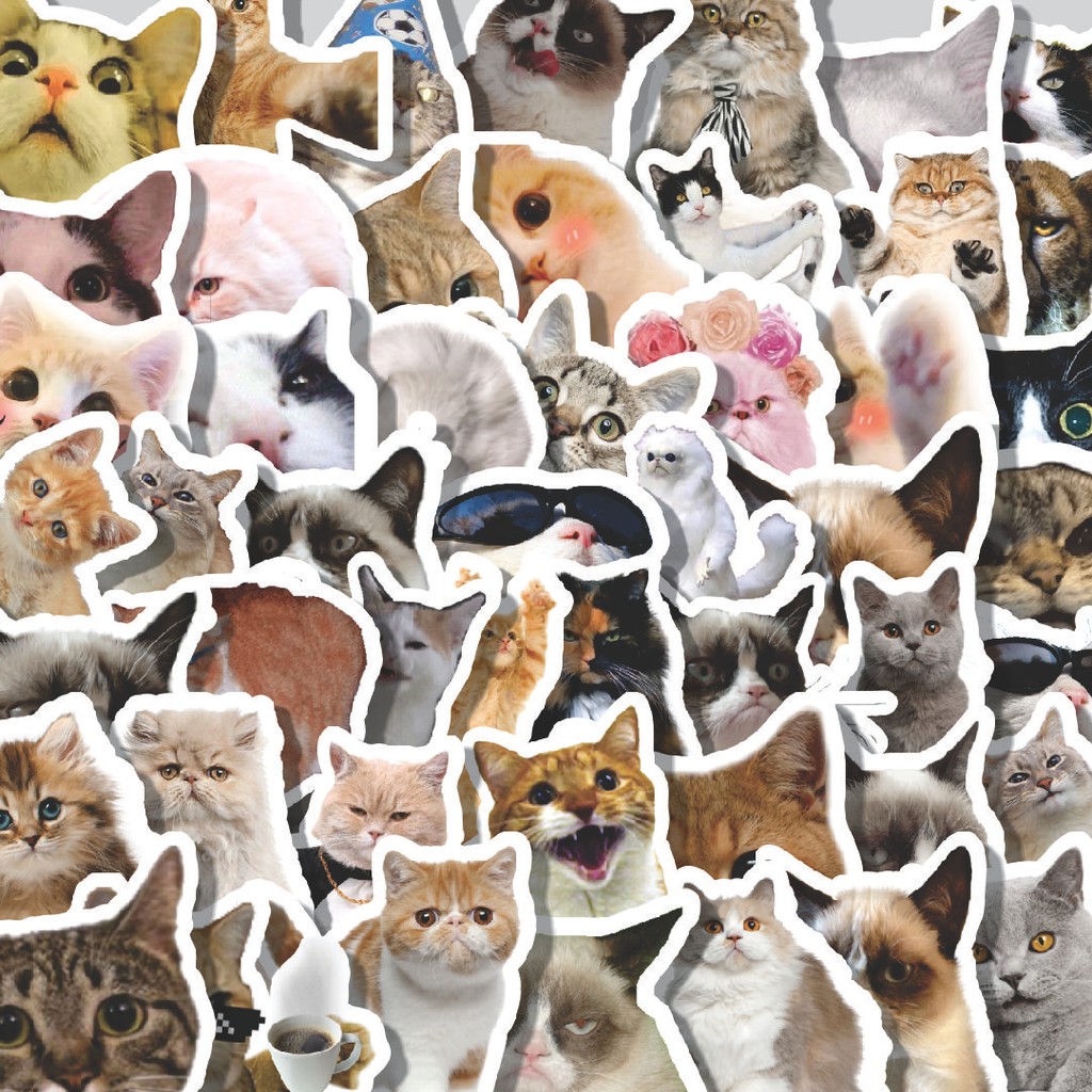 

Stiker Cutting Pack Stiker Funny Cats Emoji [Emoji Kucing Lucu] Isi 100Pcs Series Aesthetic Lucu Keren Untuk Koper Bahan Vynil