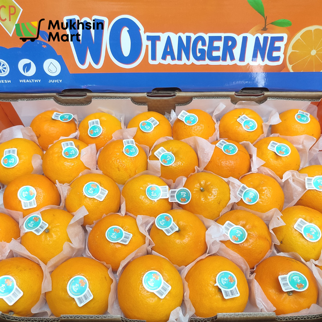 

Buah Jeruk Wokam Tangerine TA