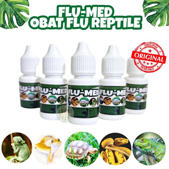 FLU-MED OBAT FLU FLUE PILEK REPTIL PNEUMONIA KURA KURA DARAT SULCATA