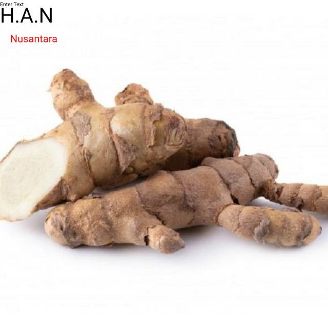 

COD Kunyit putih 250 gram basah segar temu kunir/ currcuma zedoria siap ambil