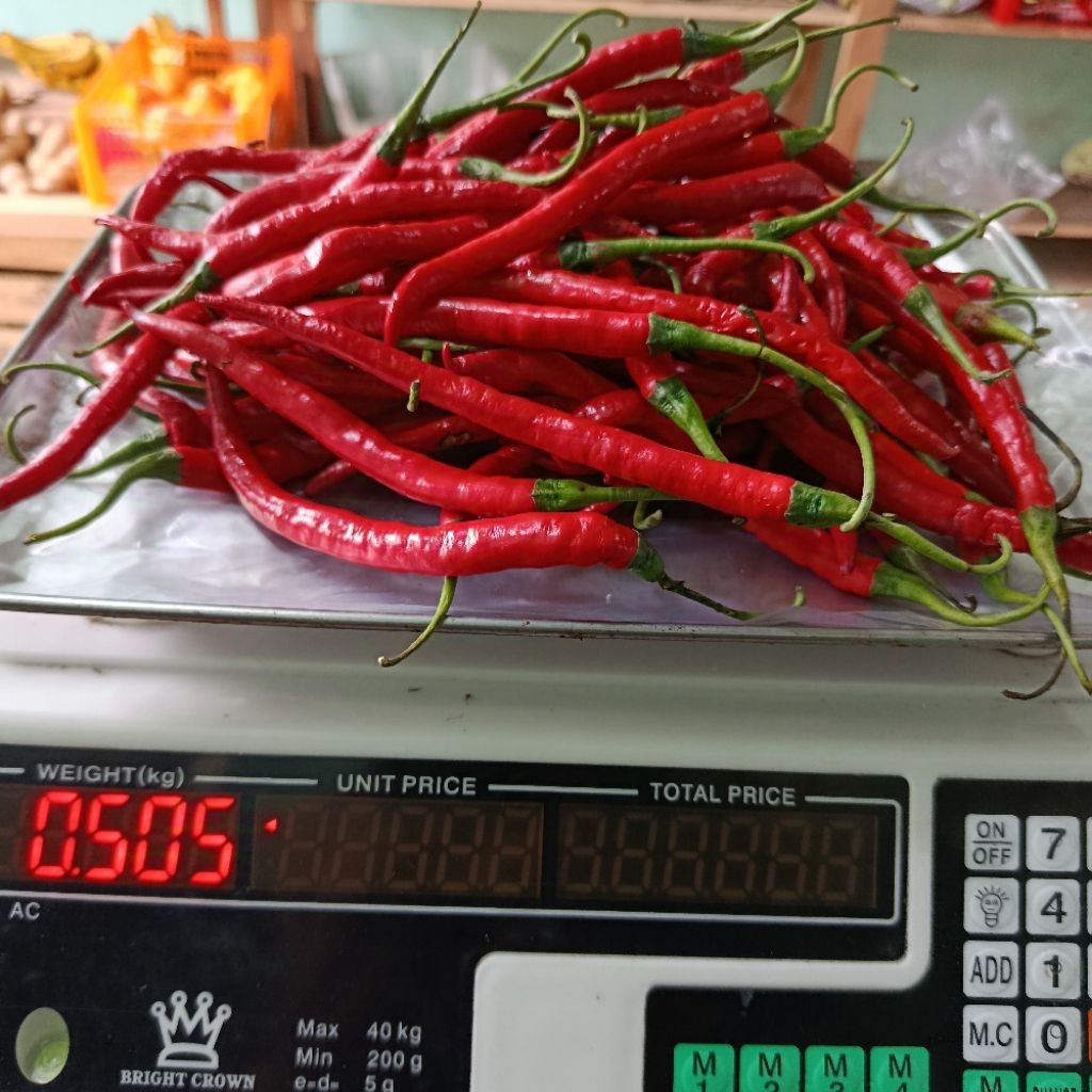 

Paket Cabe Merah Keriting Segar 1kg/500gr/250gr Cabe Keriting Merah Cabai Merah Keriting Murah