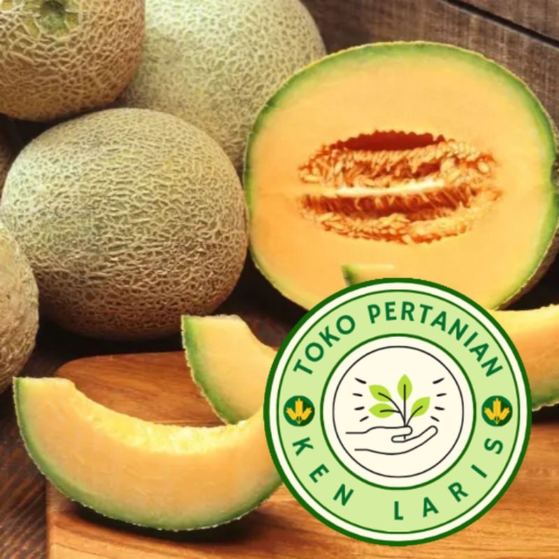 READY BIBIT MELON GOLDEN EMERALD  20 BENIH