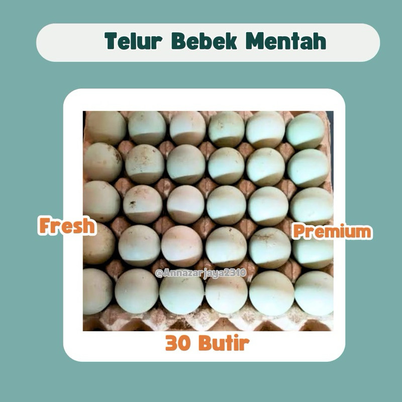

TELUR BEBEK MENTAH ISI 30 BUTIR