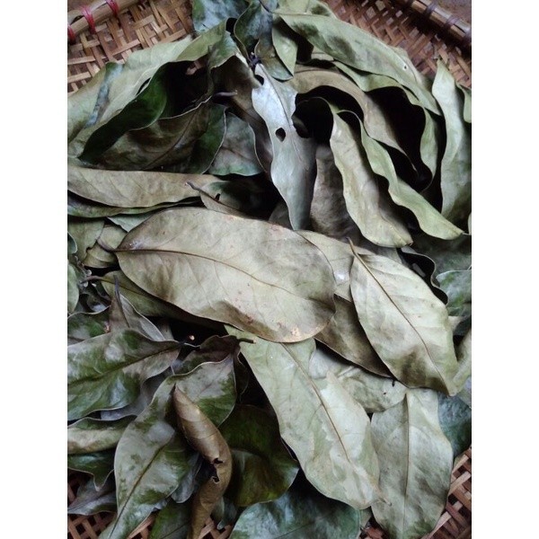 

Daun sirsak gunung kering bubuk, Teh Daun sirsak kering 100g