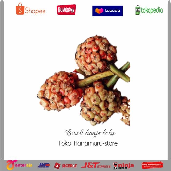 

BUAH HONJE MERAH l KECOMBRANG MERAHl BUAH HONJE/500gr