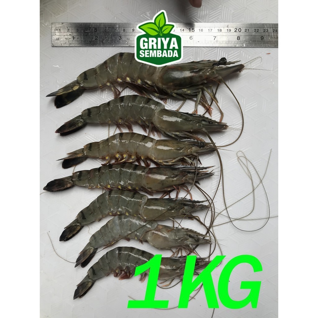 

Udang Pancet KM Segar 1KG Griya Sembada