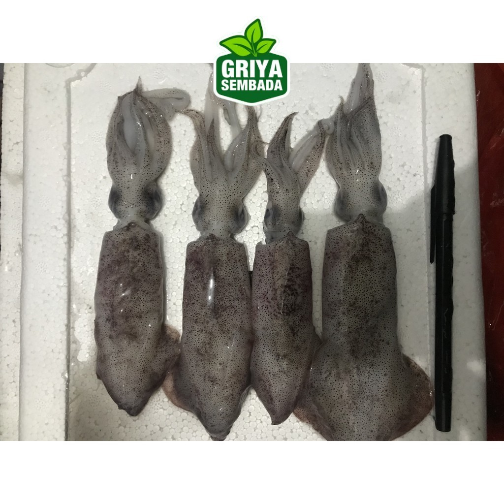 

Cumi Segar 1KG Griya Sembada