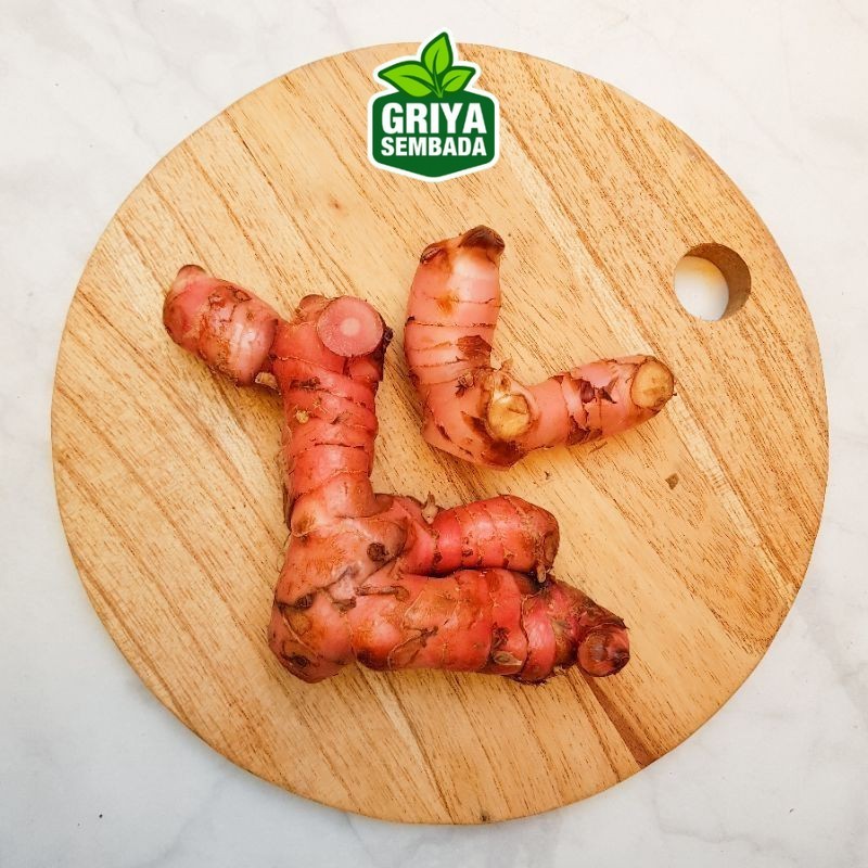 

Kirim Instan Lengkuas Merah Bersih 200gr Griya Sembada