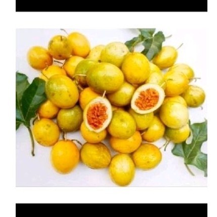 

Promo Buah markisa sgar buah konyal 1 kg