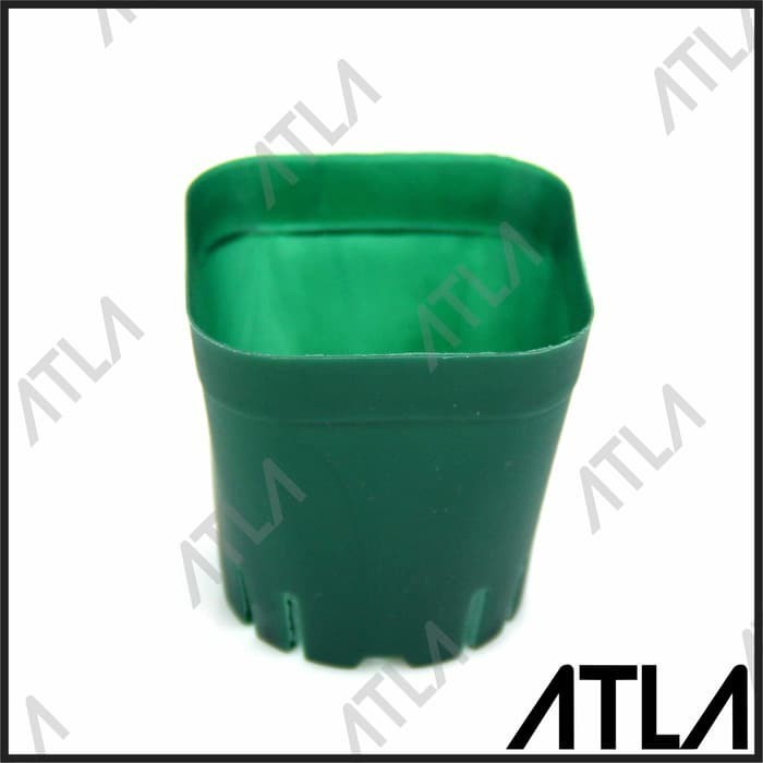 Square Pot Green Kotak Tray Semai Traypot Seedling Hijau Hidroponik