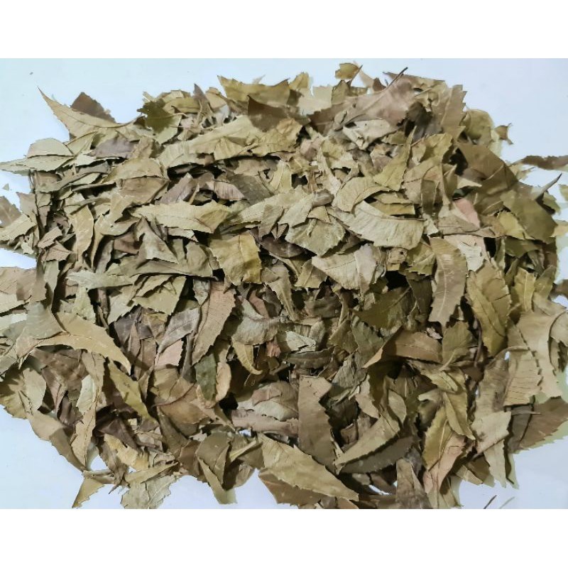 

Daun Mimba Kering 1kg / Daun Imba / Daun Imbo