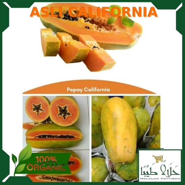 

PEPAYA CALIFORNIA FRESH 1BUAH Per 1 Buah