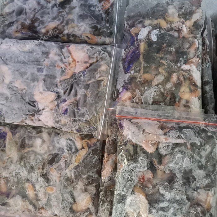 Kodok Beku Pakan Ikan Predator Arwana Channa