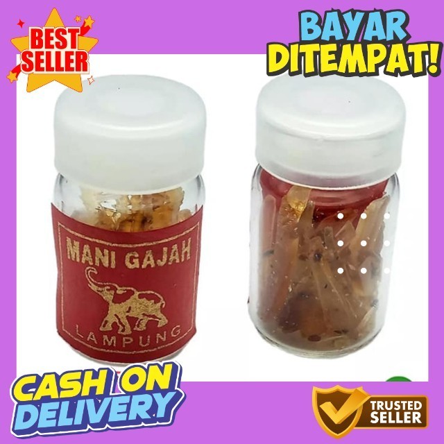 Fosil Batu Akik Mani Gajah Lampung