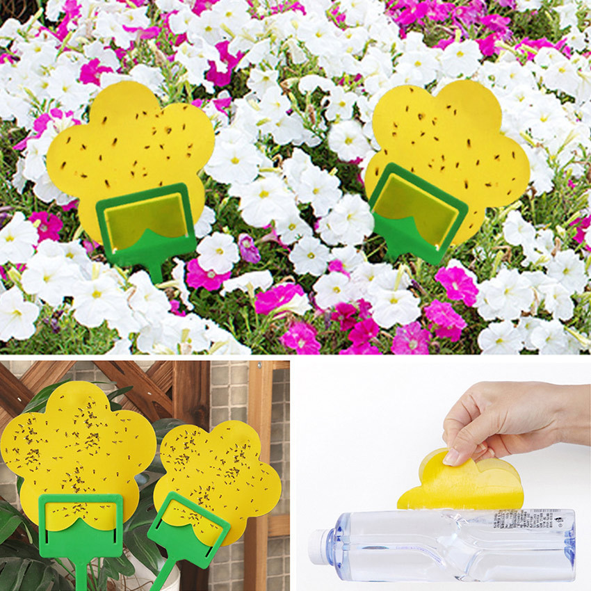 10 Lembar Lem Perekat Lalat Buah Perangkap Hama Likat Kuning Yellow Sticky Trap