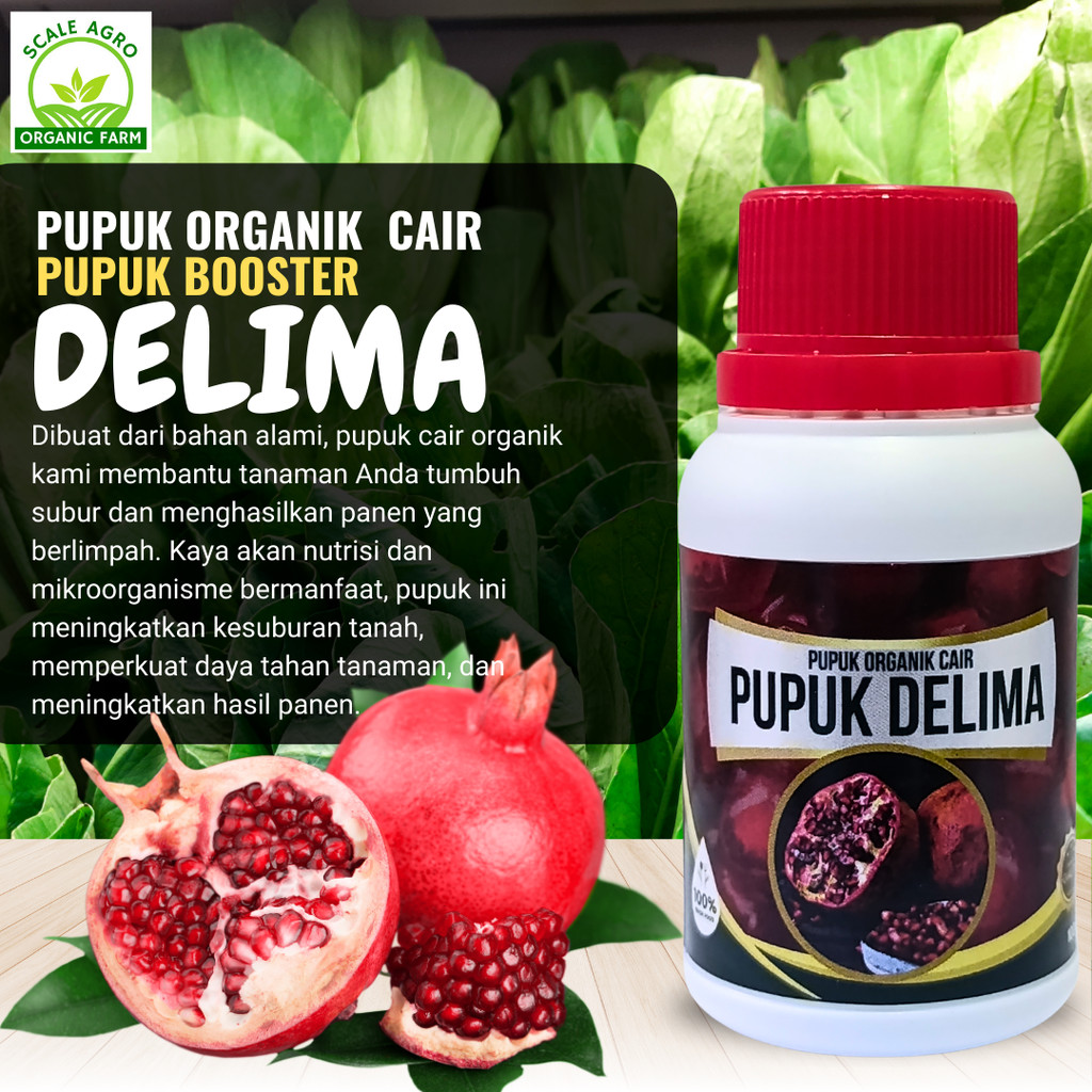 pupuk buah delima, pupuk booster delima, pupuk buah delima berbuah lebat