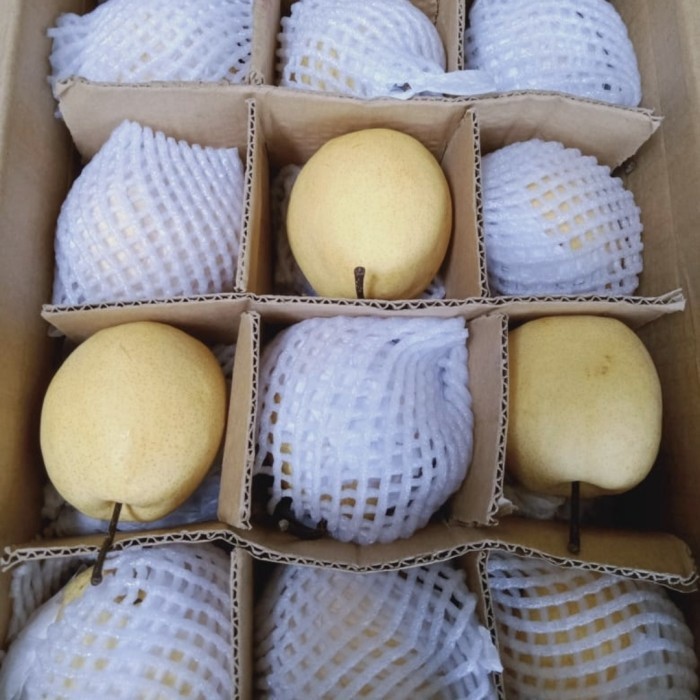 

PEAR MADU / SWEET PEAR