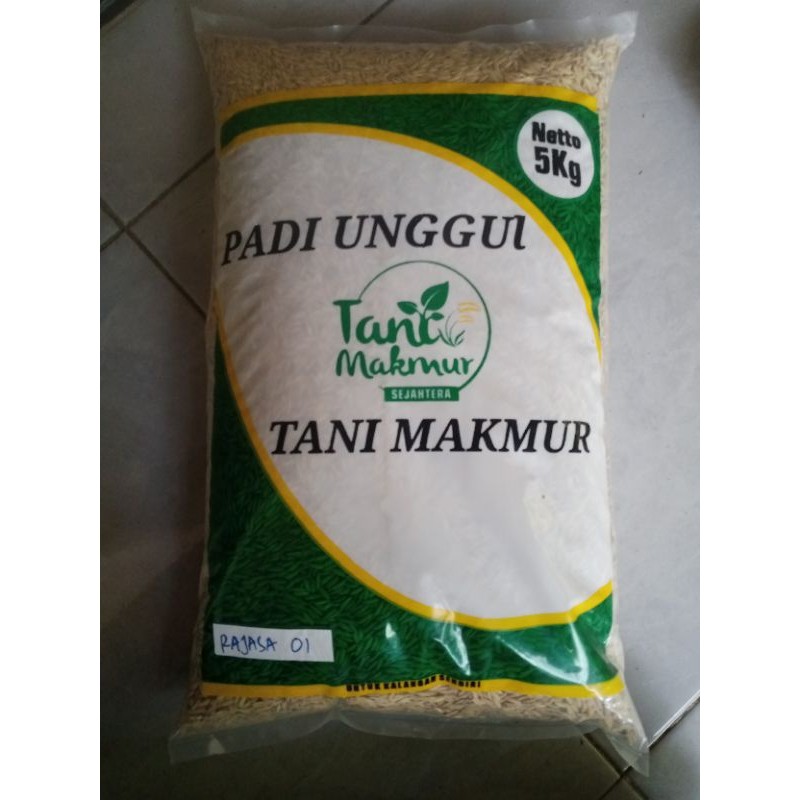 benih padi unggul Rajasa 01 kemasan 5 kg