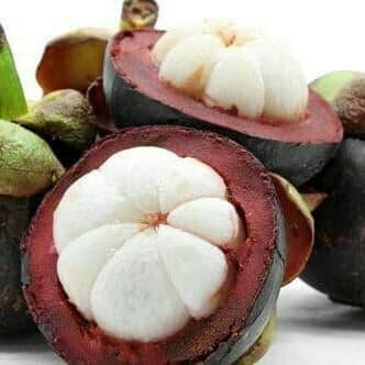 

buah manggis segar dan manis per 1kg