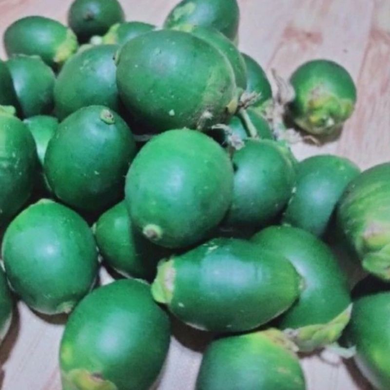 

1kg Buah Pinang Muda Segar-Jambe muda fresh Terlaris
