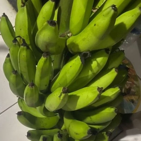 

Buah Pisang Mentah ES W Prm Pisang Bangkaulu Fresh