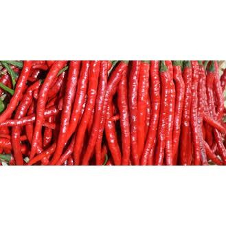 

Unicorn - Cabe Kriting / Cabai Merah Keriting 250 Gram / 500 Gram / 1 Kilogram