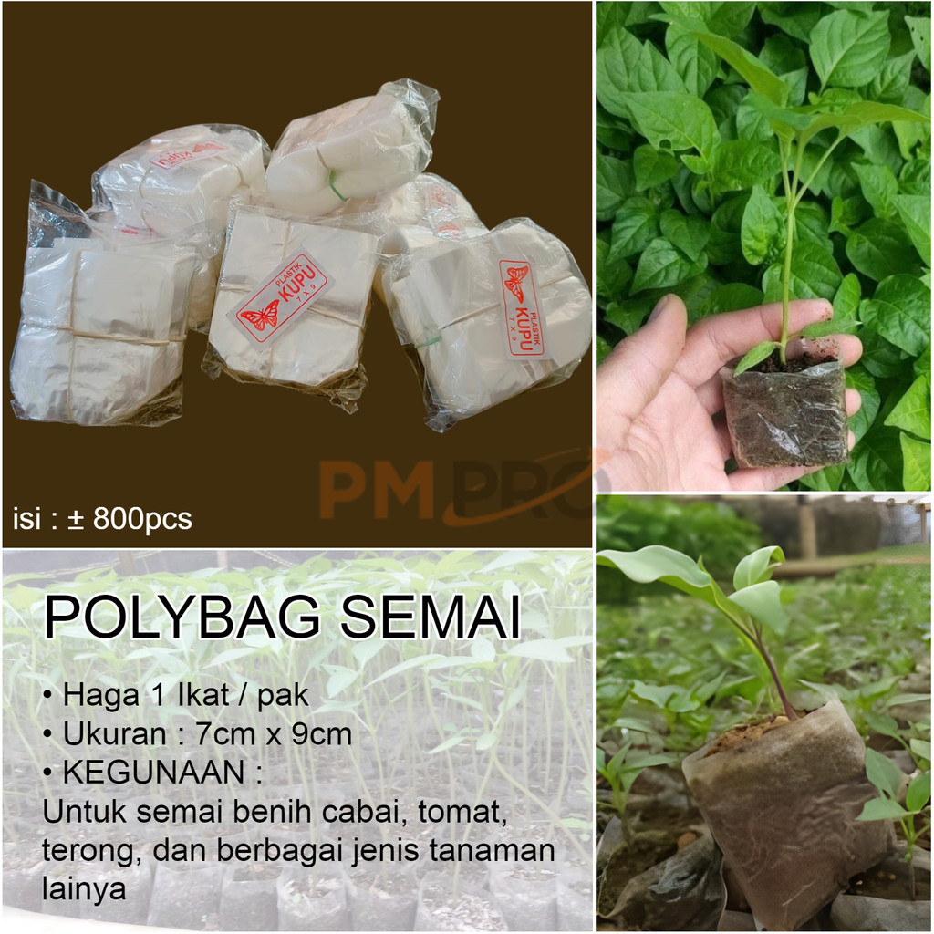 Polybag Semai Kecil Ukuran 7x9 Bening Plastik Polibag Benih Bibit Tanaman Polibek Cabe Isi 1000 PMP