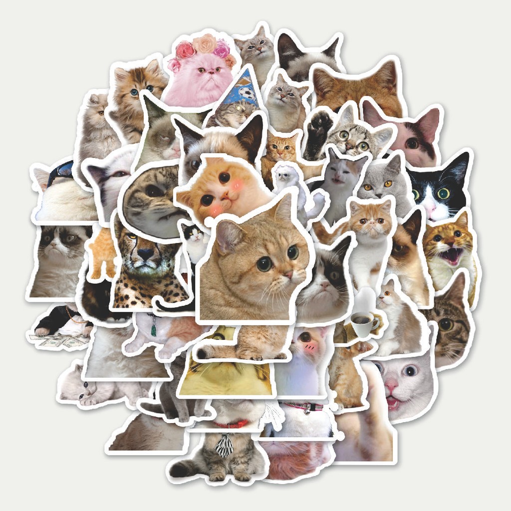 

Sticker Pack Stiker Funny Cats Emoji [Emoji Kucing Lucu] | Sticker TUMBLR | Stiker LAPTOP KOPER HELM