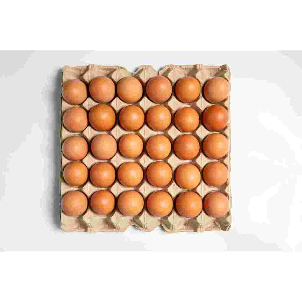 

TELOR OMEGA JUMBO isi 1kg /Telur Ayam/Telur Murah/telor omega 3/omega