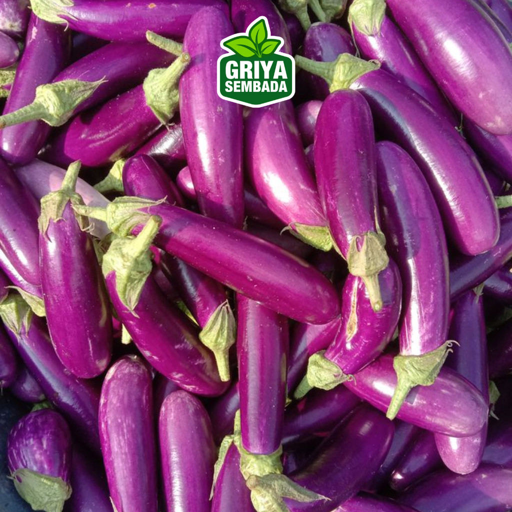 

Terong Ungu 1kg - Sayur Nusantara