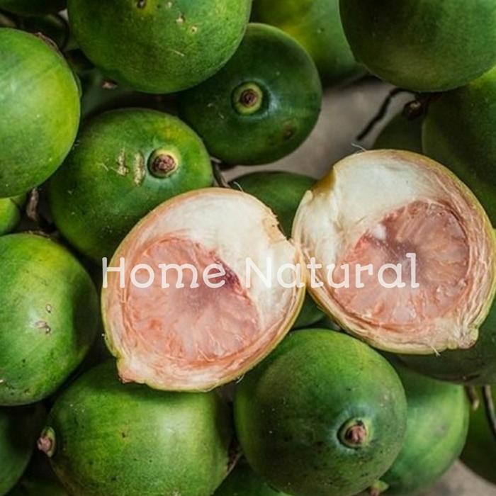 

Buah pinang muda segar 500gr - Buah pinang atau buah jambe