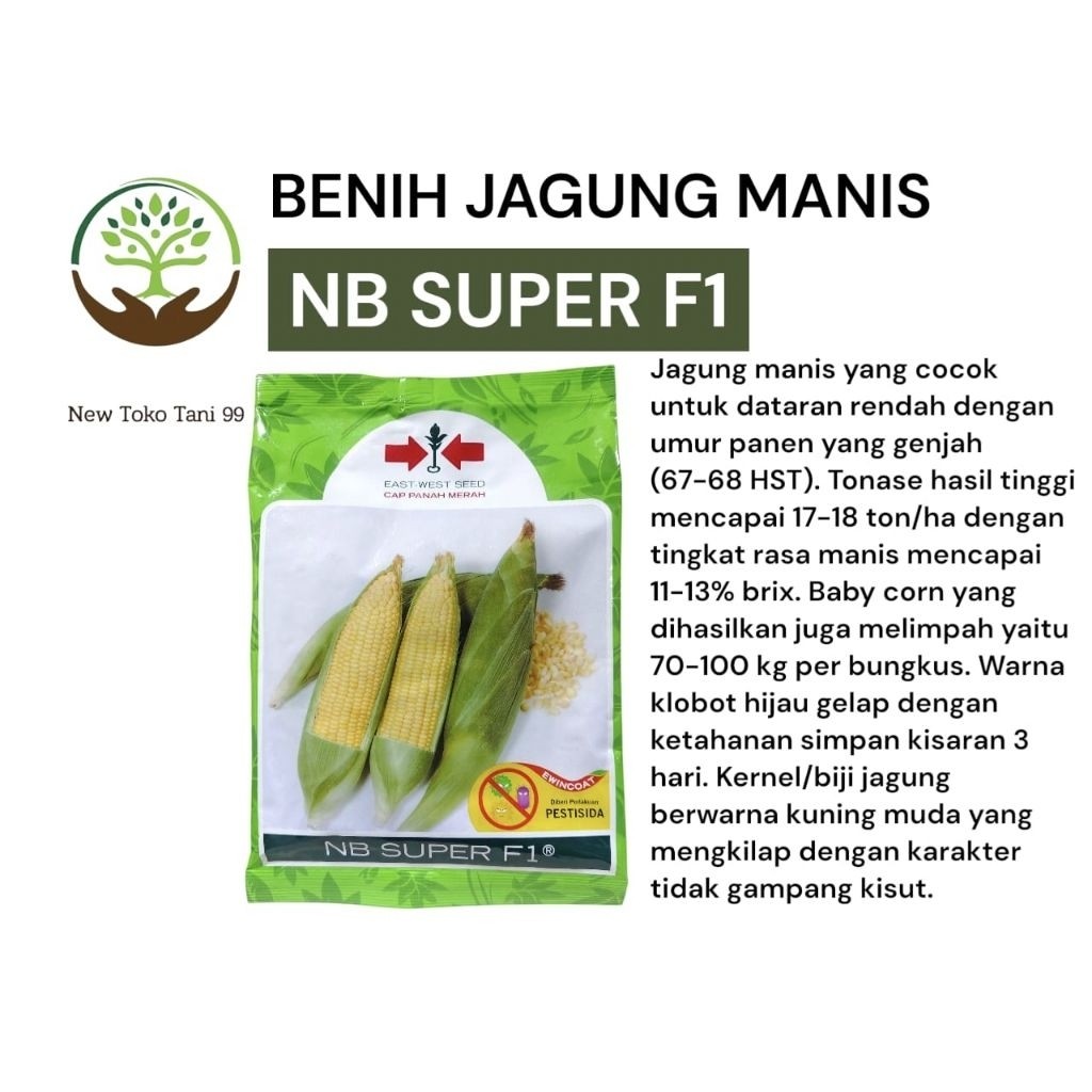 TT99 Benih jagung NB super F1 1750 butir benih jagung manis nbsuper dari panah merah jagung manis hi